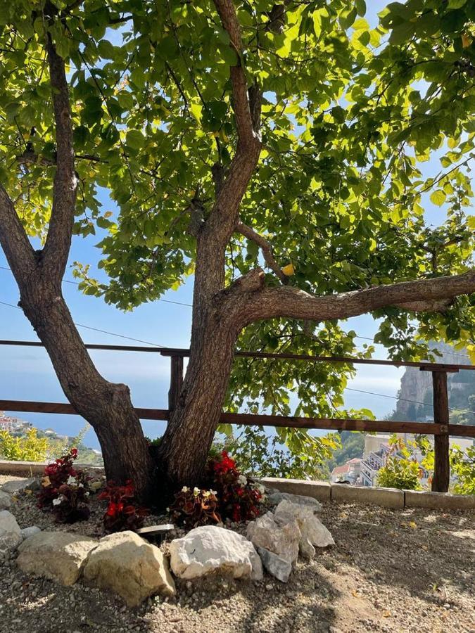 Apartamento Casa Enzo Amalfi Exterior foto